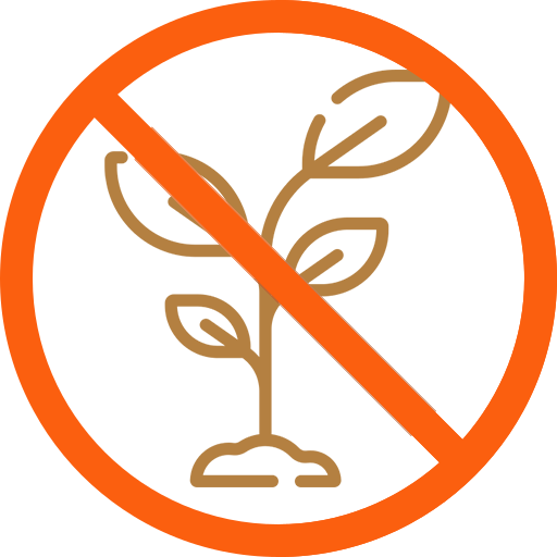 Plantas